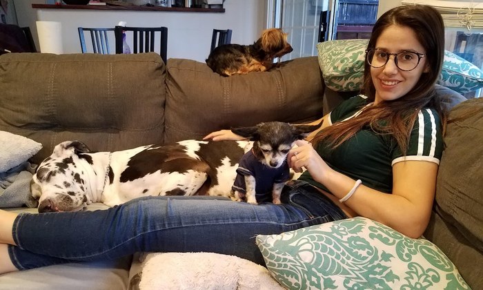 Alexa at home relaxing with her dogs